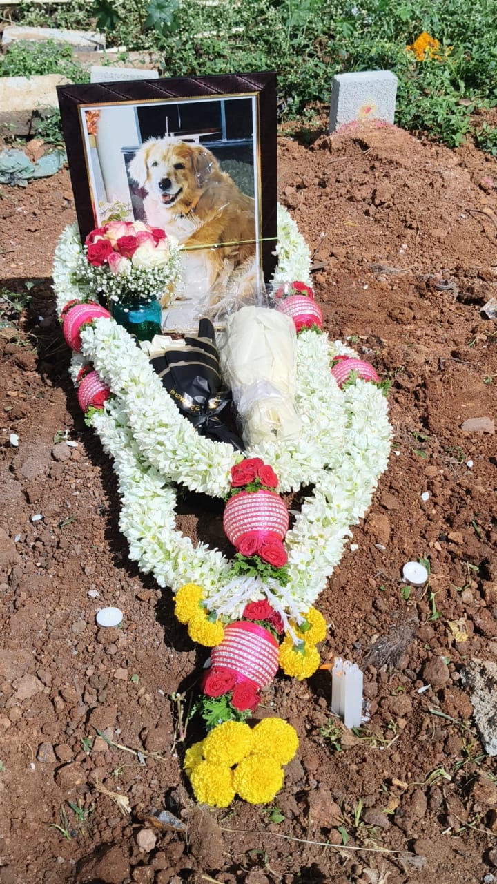 Pet farewell gallery photo 5